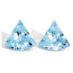 Aquamarine Pair - AA, fancy, 12.3x13 mm, 6.59 ct, No. A99073