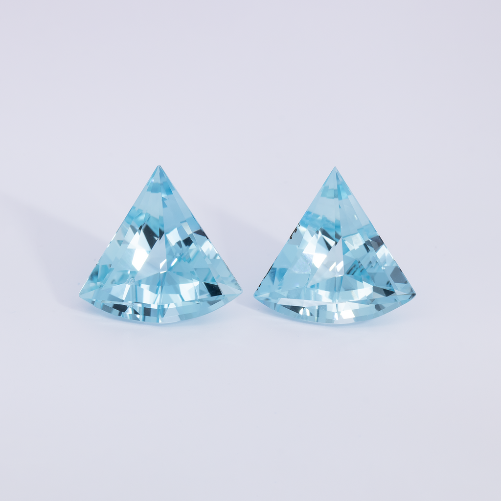 Aquamarine Pair - AA, fancy, 12.3x13 mm, 6.59 ct, No. A99073