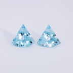 Aquamarine Pair - AA, fancy, 12.3x13 mm, 6.59 ct, No. A99073