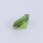 Paraiba Turmalin - grün, rund, 9.4x9.4 mm, 3.01 ct, Nr. PT90020